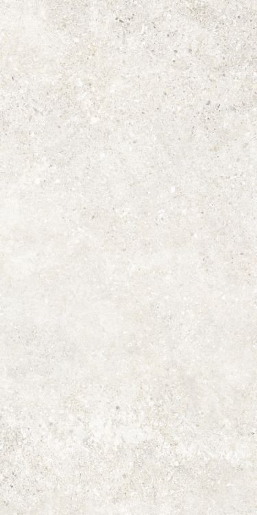 Untamed Wander White 12 x 24